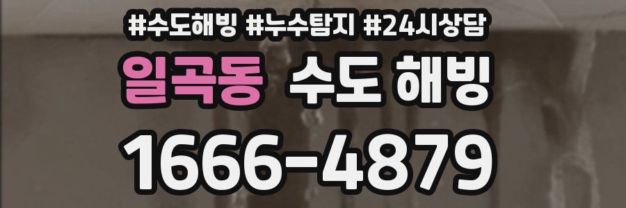 일곡동 수도 해빙