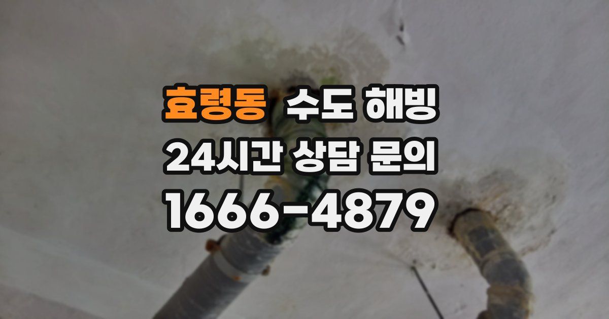 효령동 수도 해빙