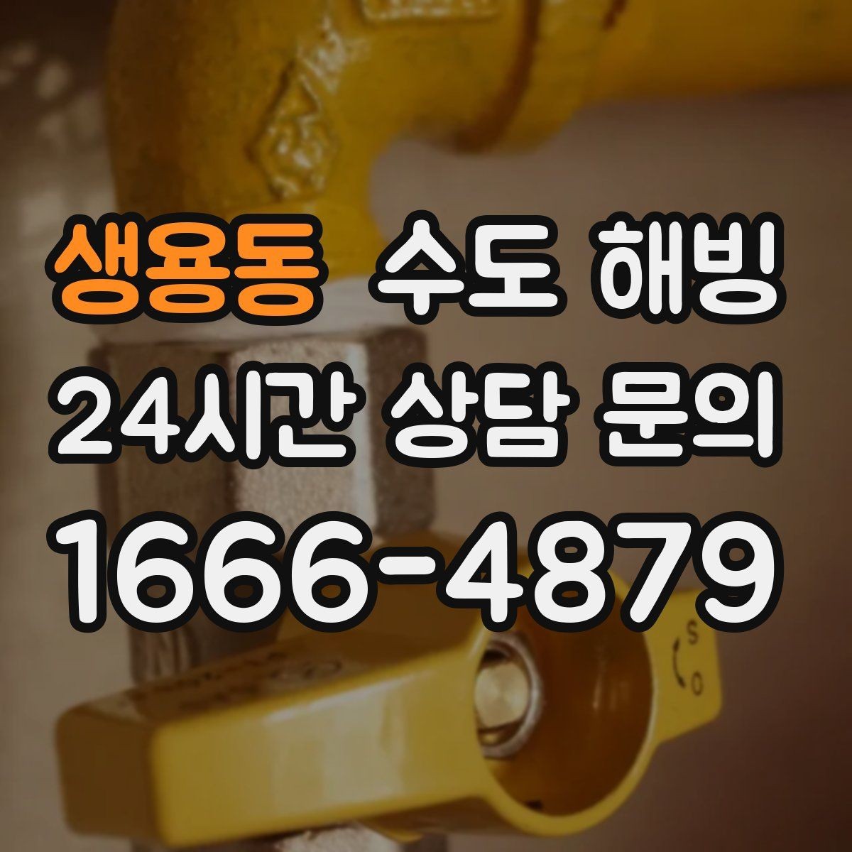 생용동 수도 해빙 집에서 할 수 있는 범위와 한계