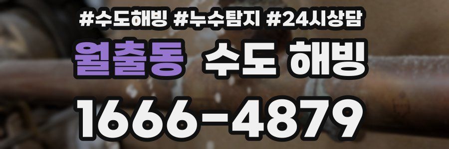 월출동 수도 해빙