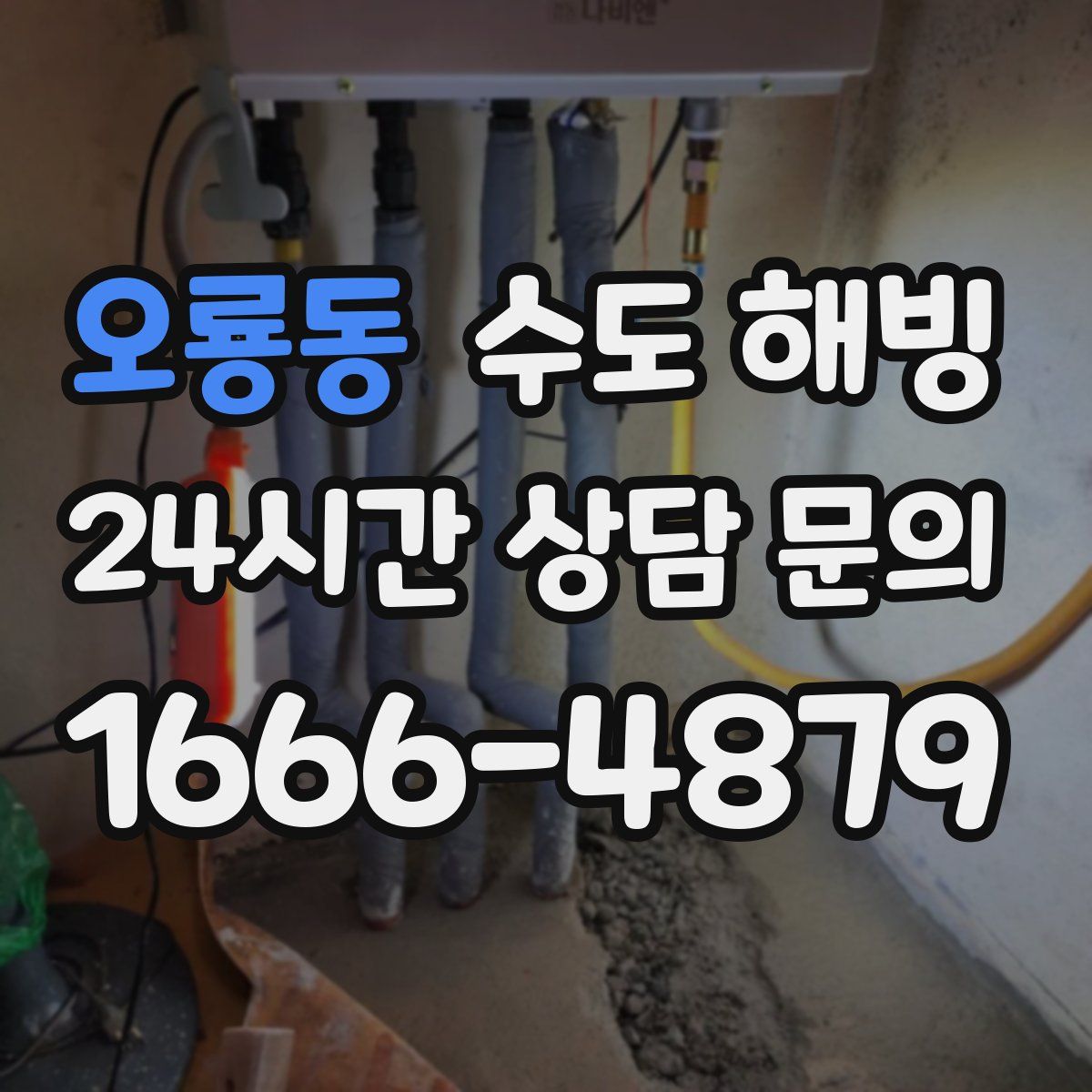 오룡동 수도 해빙