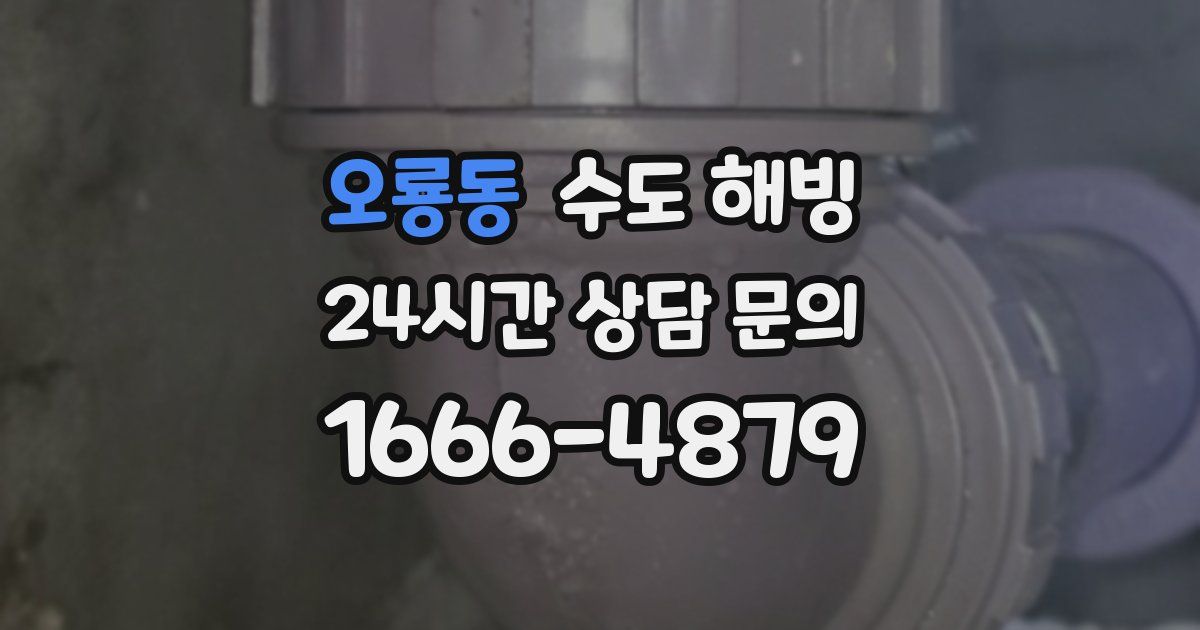 오룡동 수도 해빙