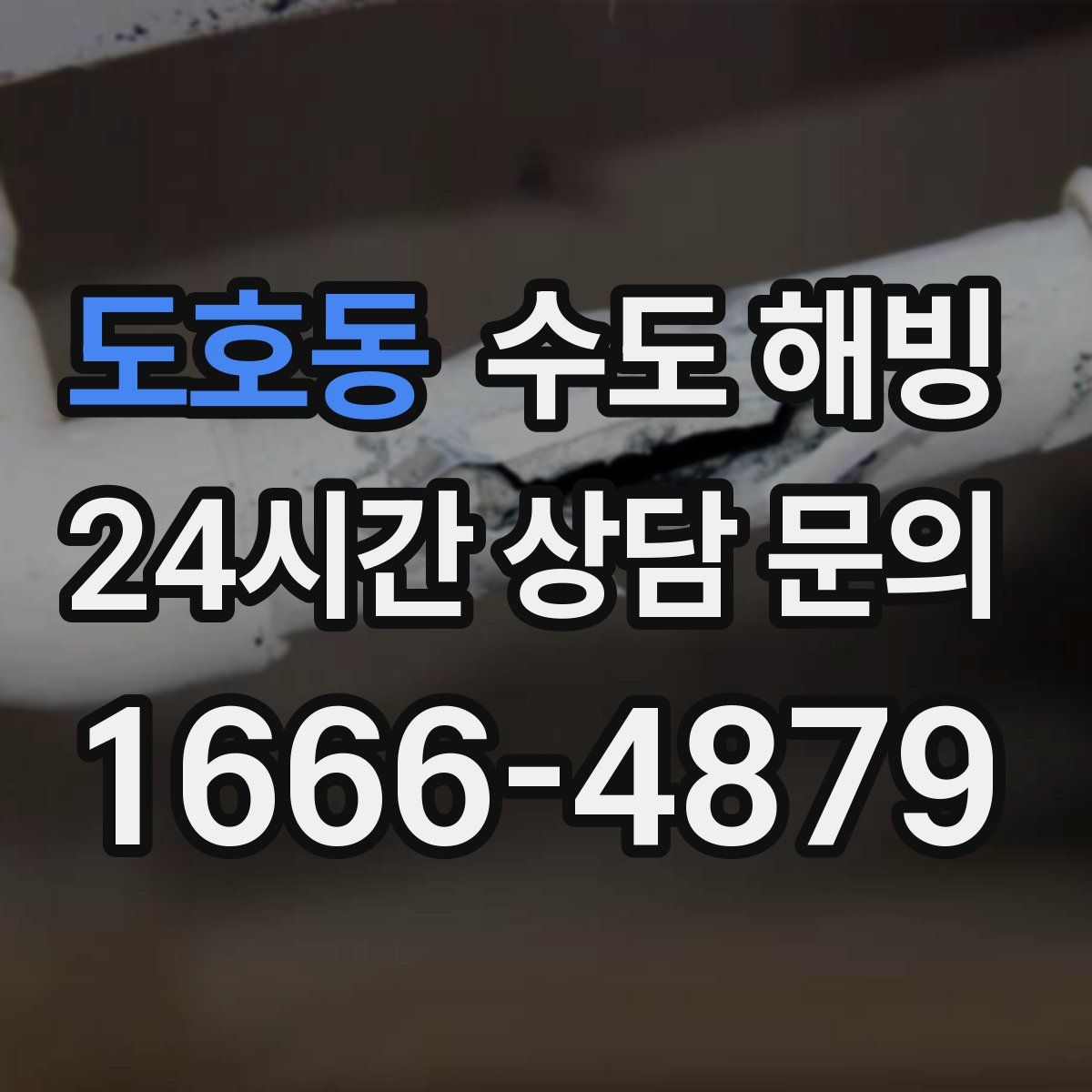 도호동 수도 해빙