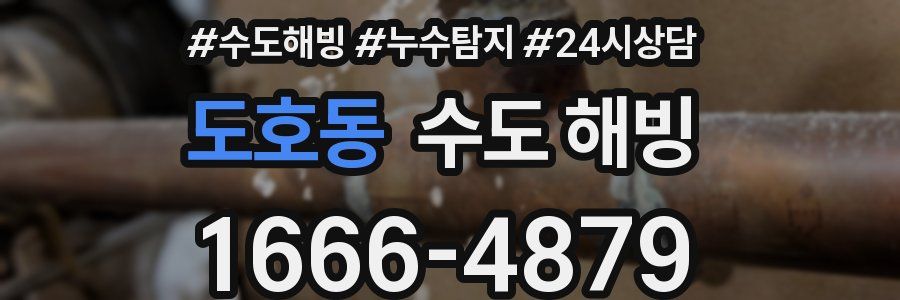 도호동 수도 해빙