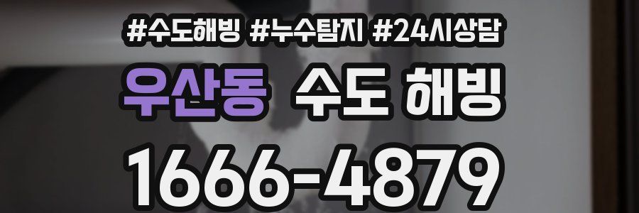 우산동 수도 해빙