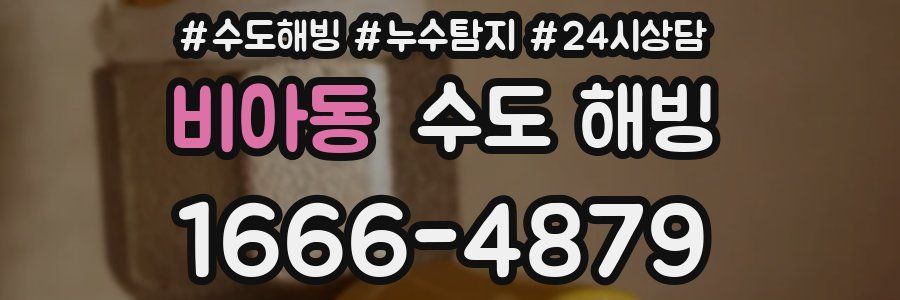 비아동 수도 해빙