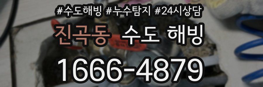 진곡동 수도 해빙