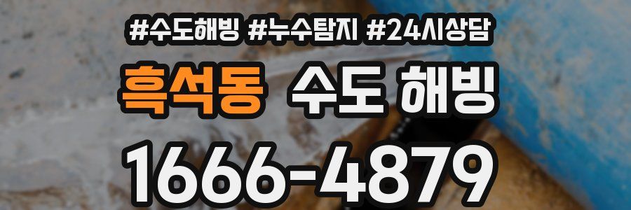 흑석동 수도 해빙