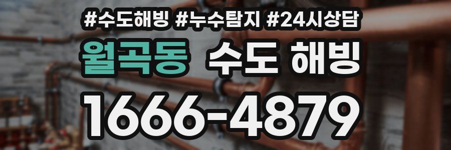 월곡동 수도 해빙