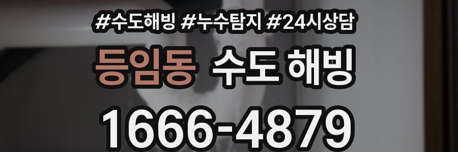 등임동 수도 해빙