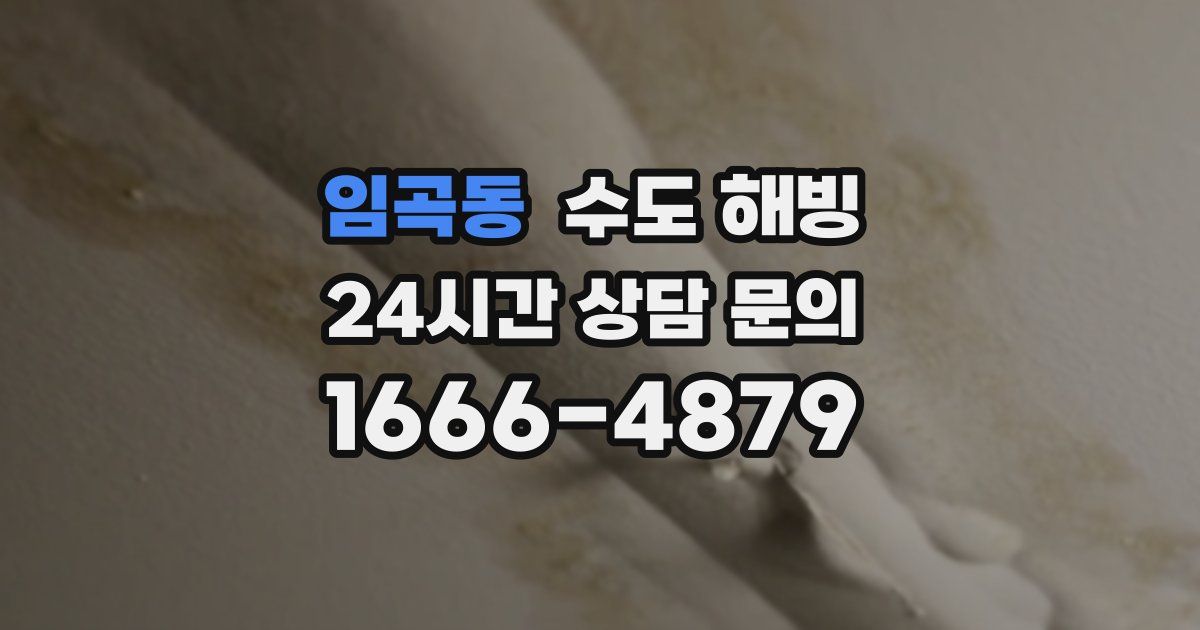 임곡동 수도 해빙