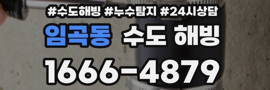 임곡동 수도 해빙