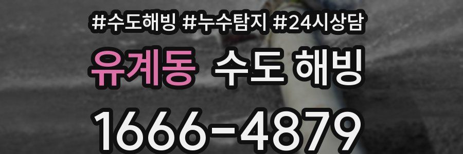 유계동 수도 해빙