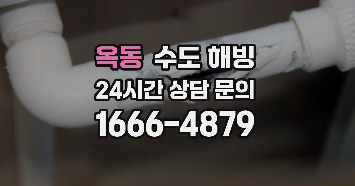 옥동 수도 해빙