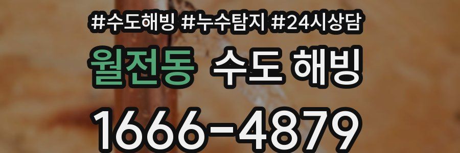 월전동 수도 해빙