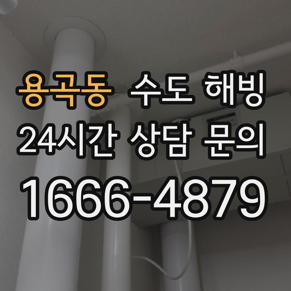 용곡동 수도 해빙 수도꼭지에서 공기 소리만 나면 어디가 얼었을까
