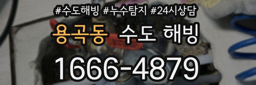 용곡동 수도 해빙