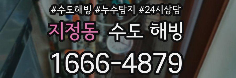 지정동 수도 해빙