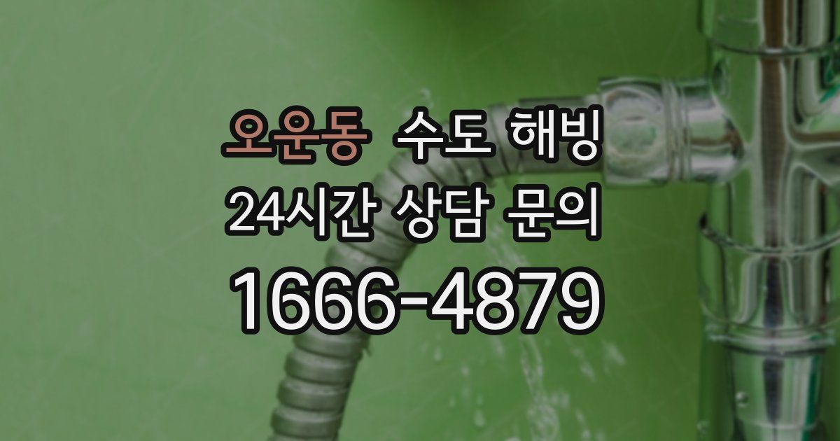 오운동 수도 해빙