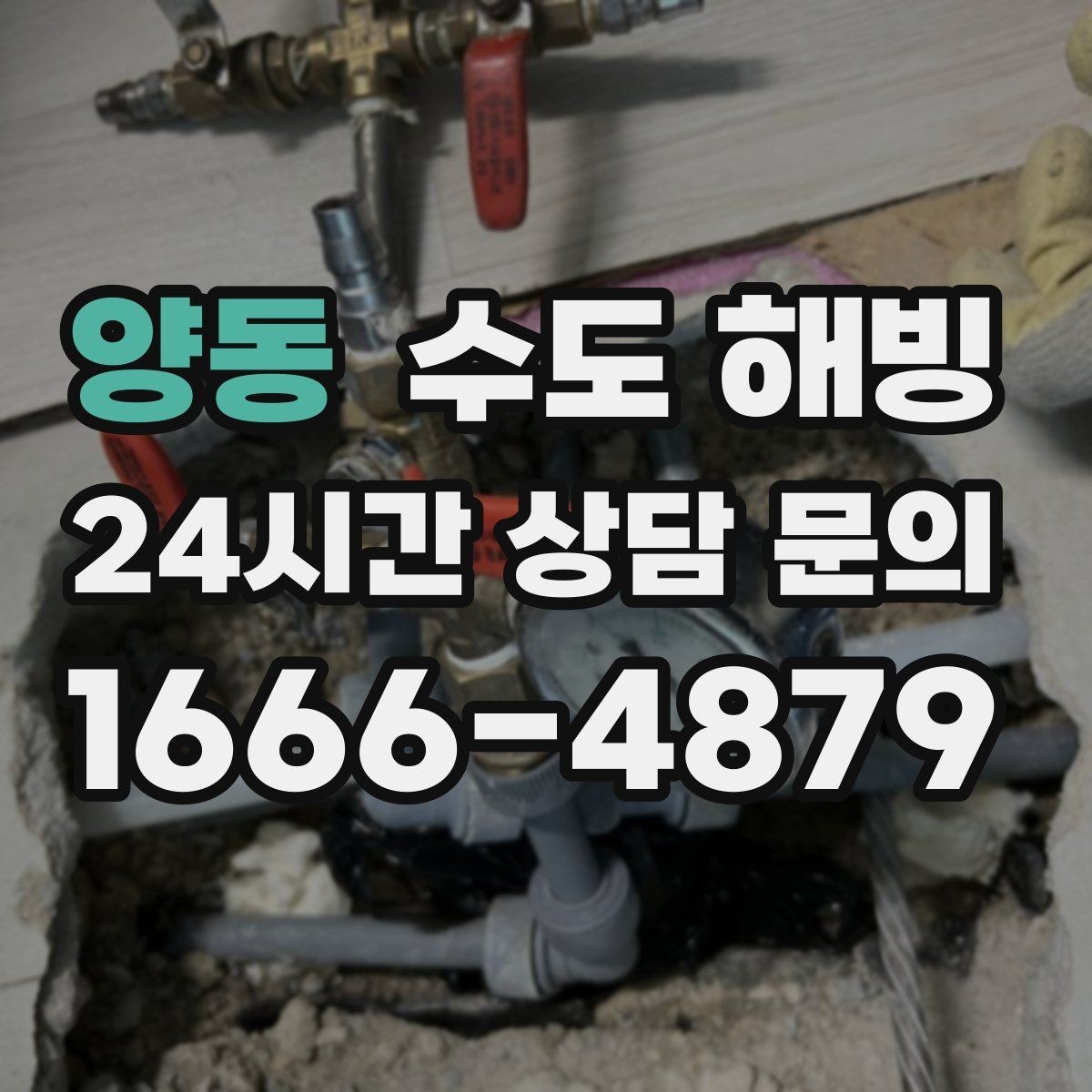 양동 수도 해빙 만 하고 끝내면 재동파가 오는 이유