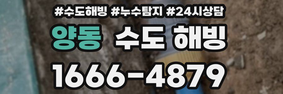 양동 수도 해빙