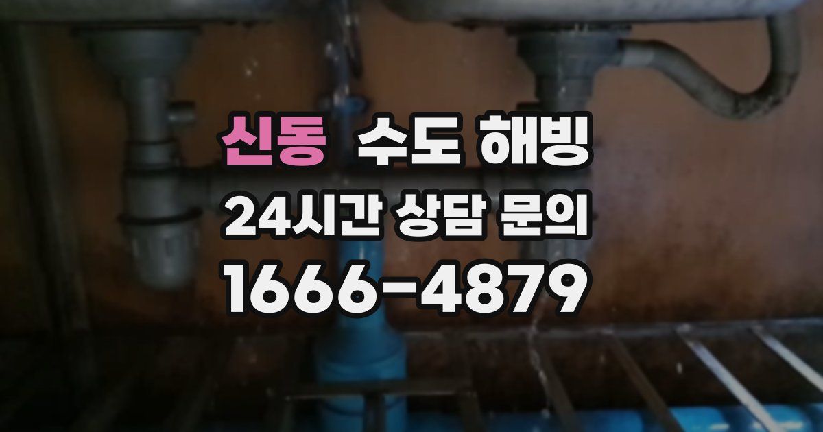 신동 수도 해빙