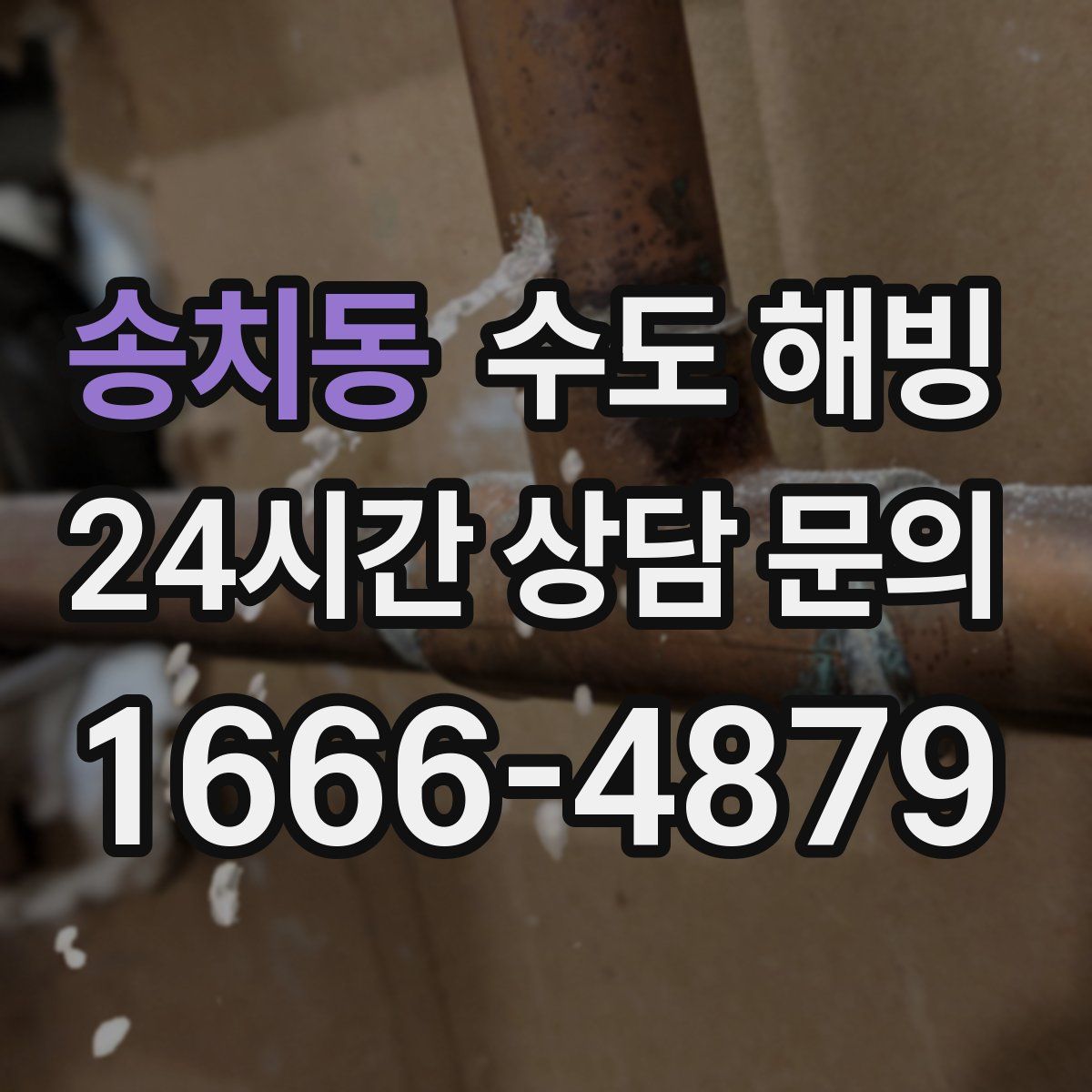 송치동 수도 해빙