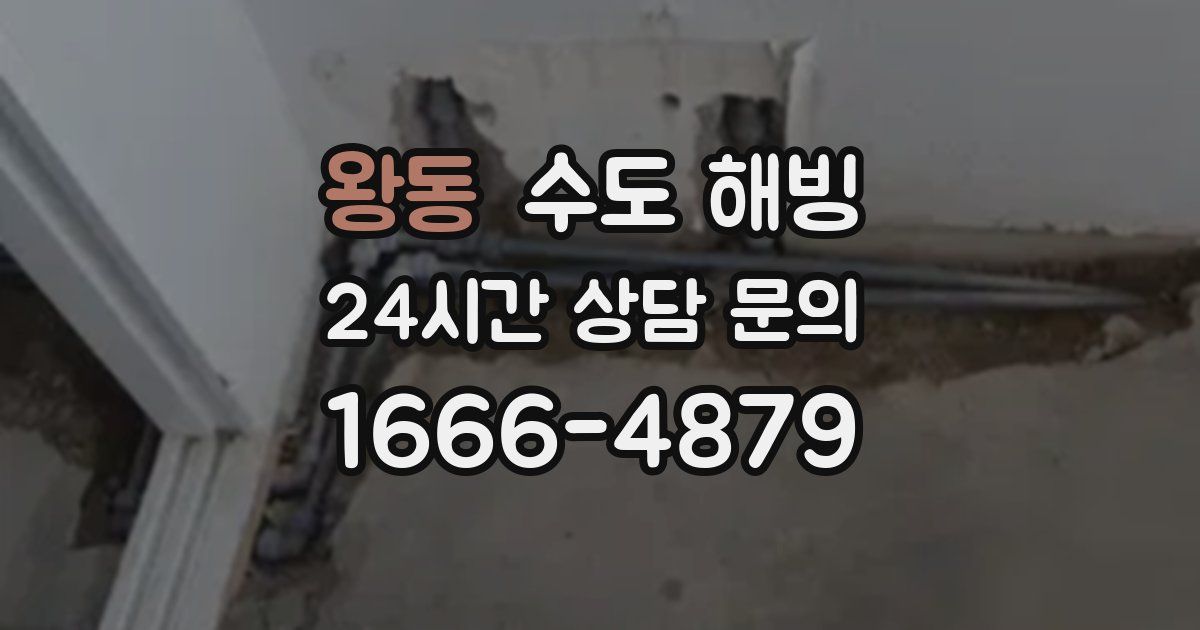 왕동 수도 해빙