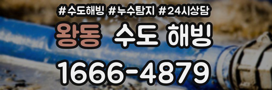 왕동 수도 해빙