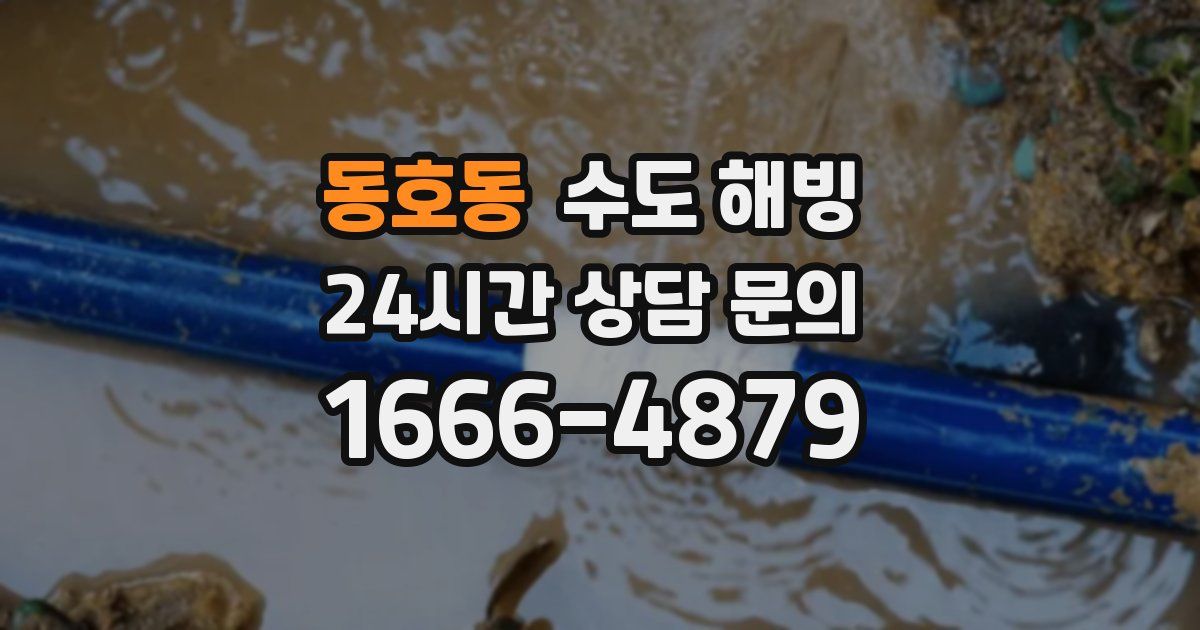 동호동 수도 해빙