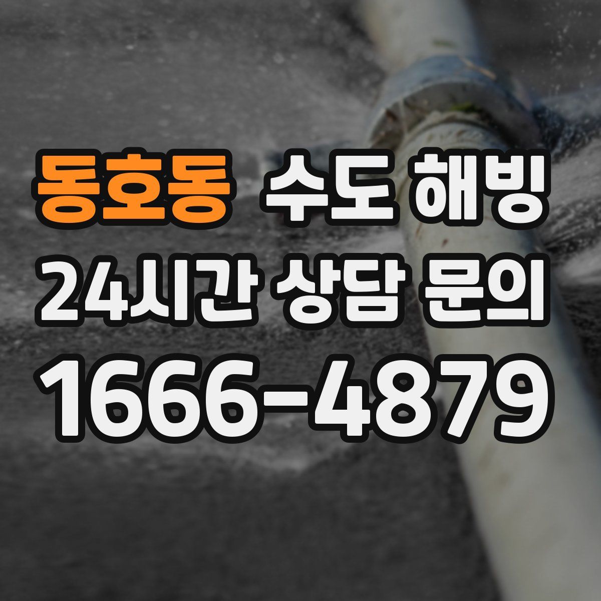 동호동 수도 해빙