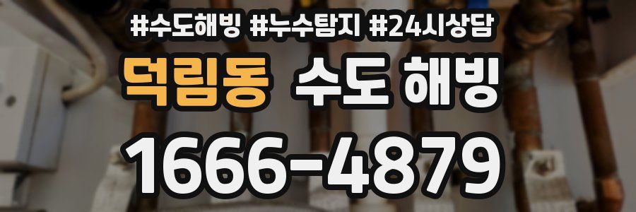 덕림동 수도 해빙