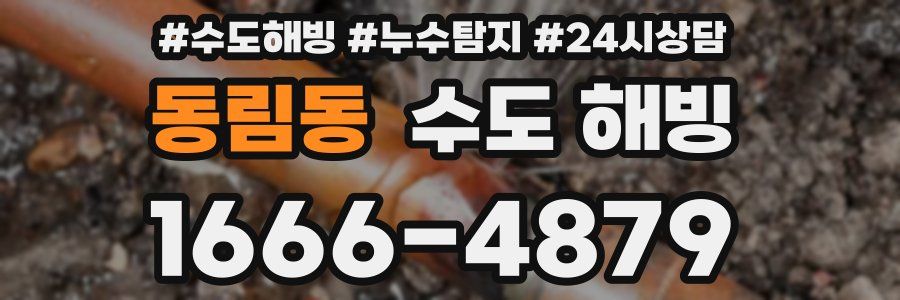 동림동 수도 해빙