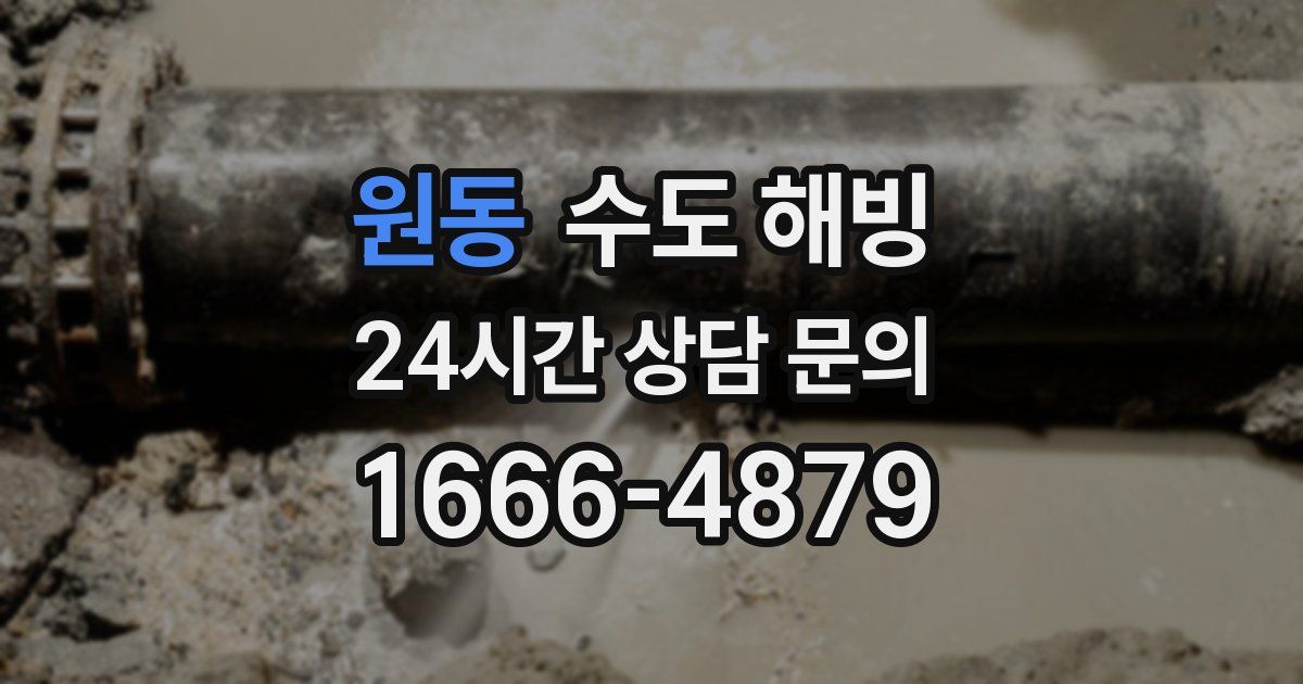 원동 수도 해빙