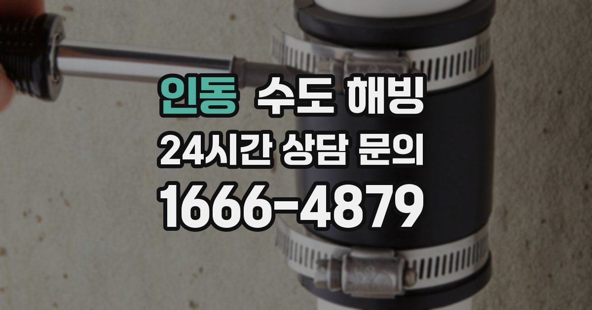 인동 수도 해빙