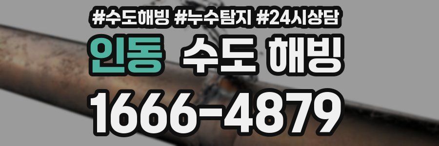 인동 수도 해빙