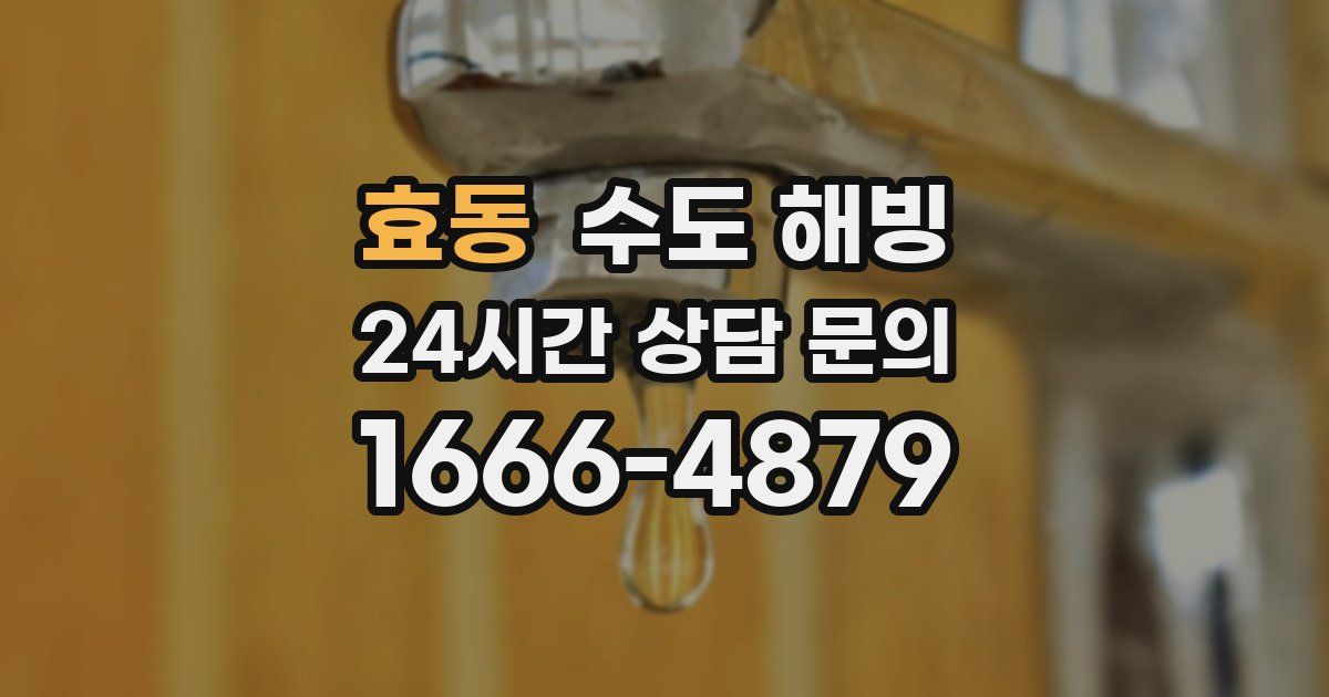 효동 수도 해빙