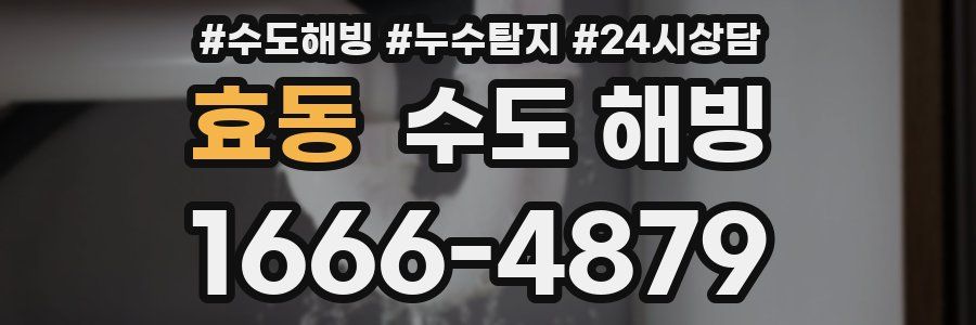 효동 수도 해빙