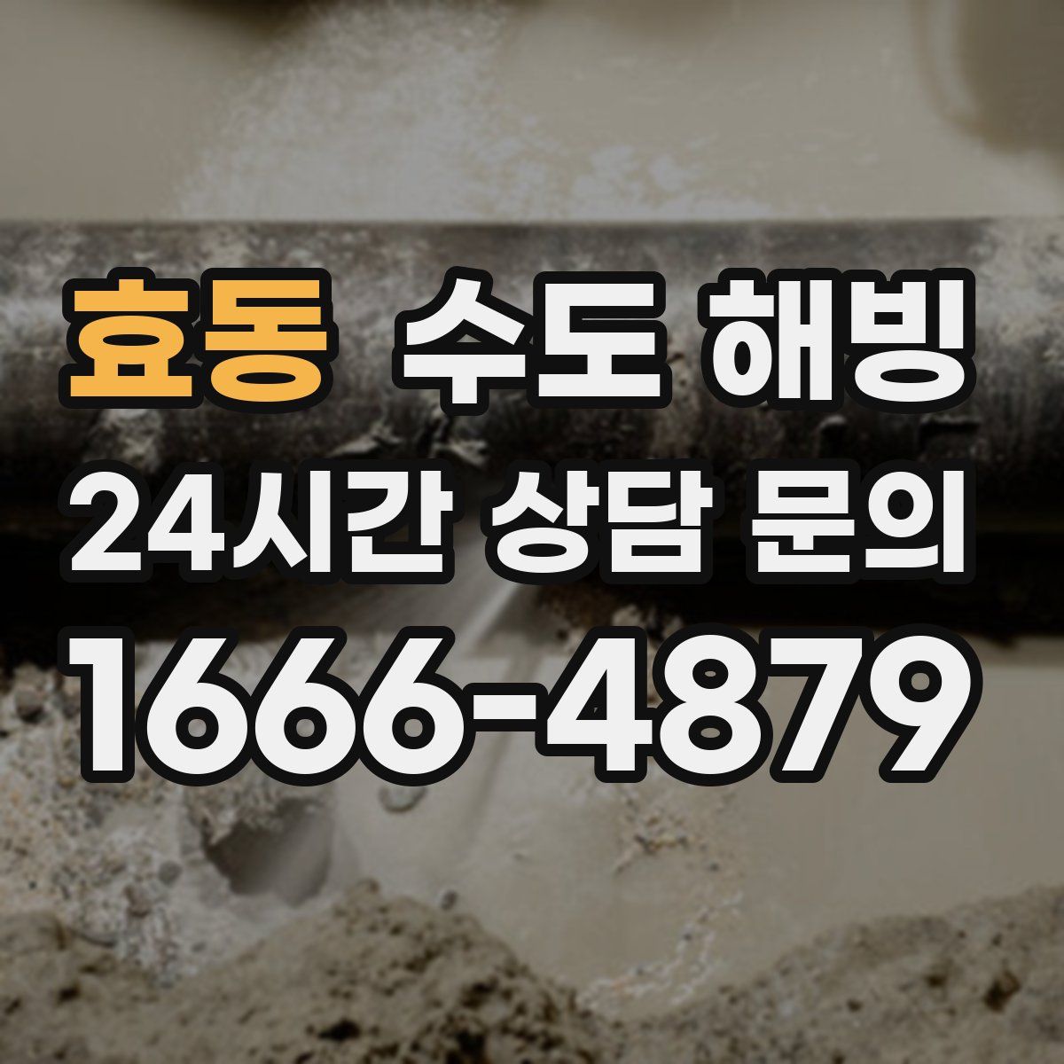 효동 수도 해빙