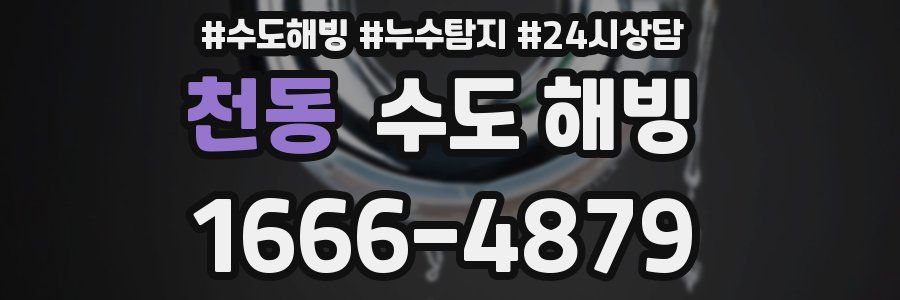 천동 수도 해빙