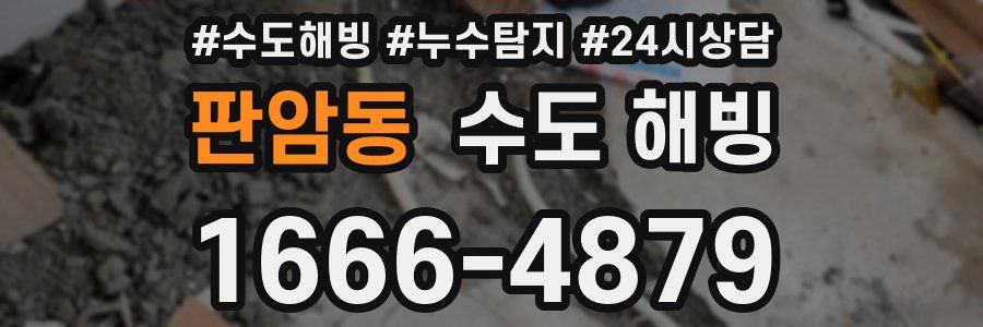 판암동 수도 해빙