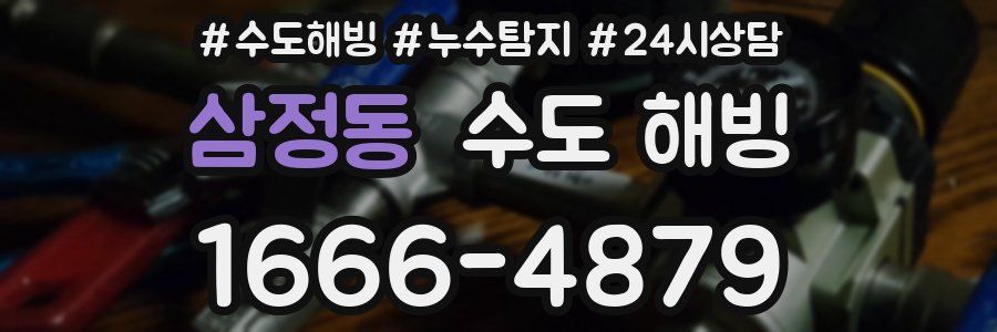 삼정동 수도 해빙