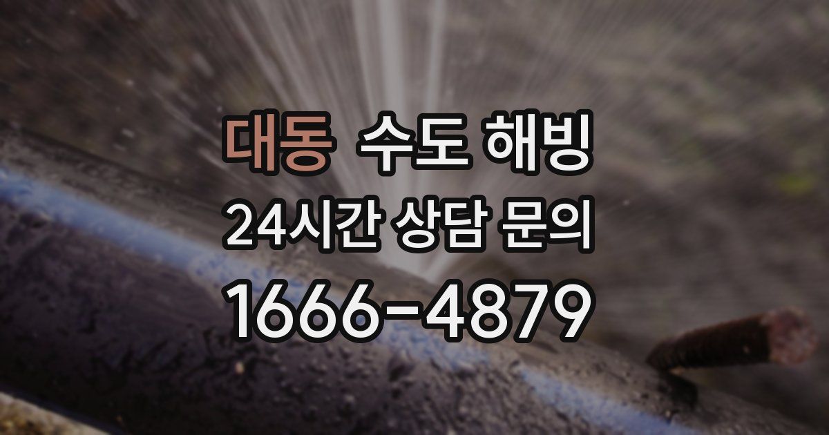 대동 수도 해빙