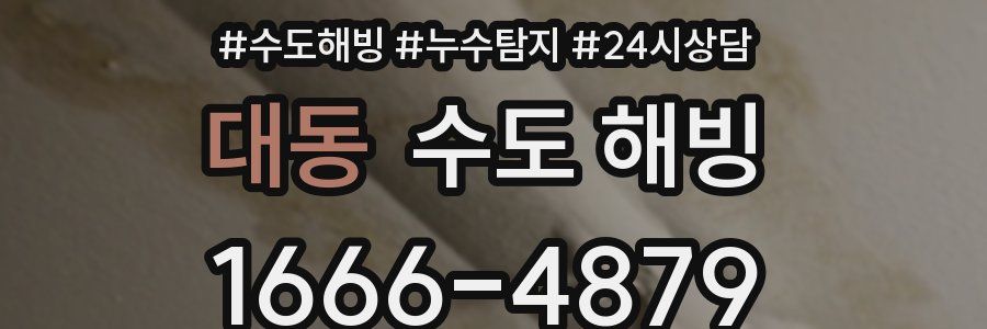 대동 수도 해빙