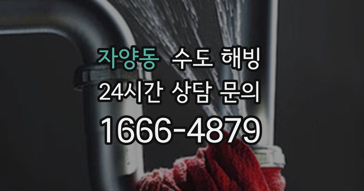 자양동 수도 해빙