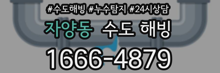 자양동 수도 해빙