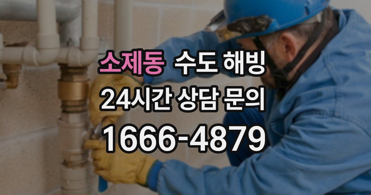 소제동 수도 해빙