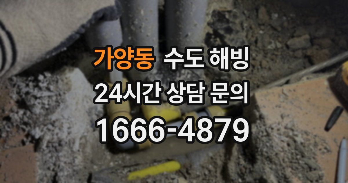 가양동 수도 해빙