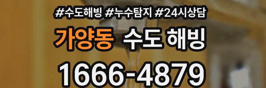 가양동 수도 해빙