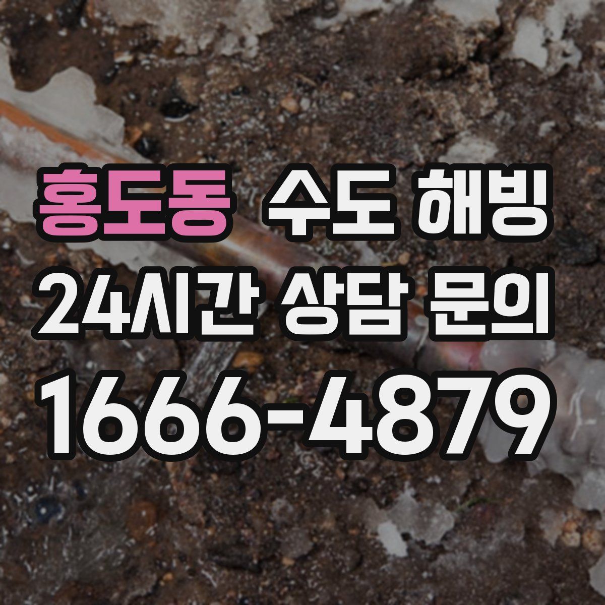 홍도동 수도 해빙